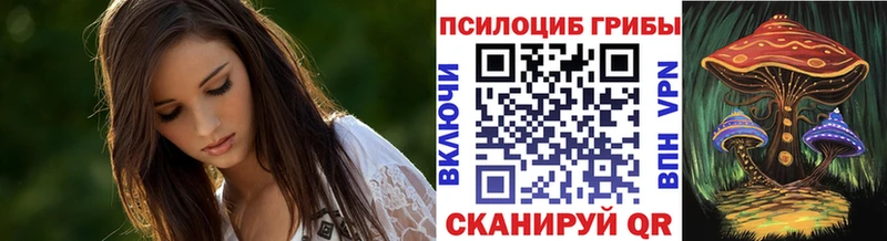 Псилоцибиновые грибы Cubensis  Купить  Заинск 